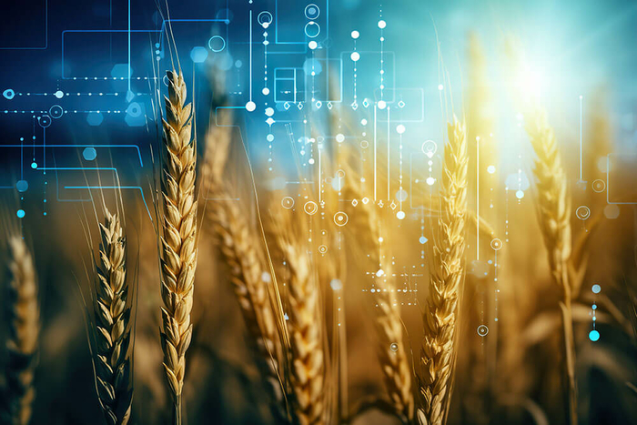 Our vision: digital sustainable agriculture